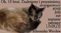 Obrazek