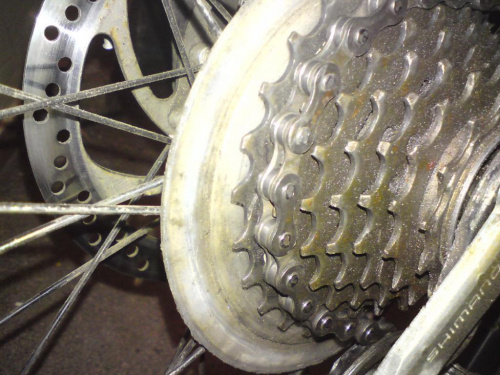 ca549ed5cc6b4e09med.jpg