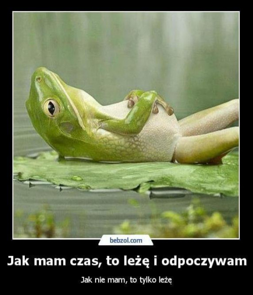 Obrazek