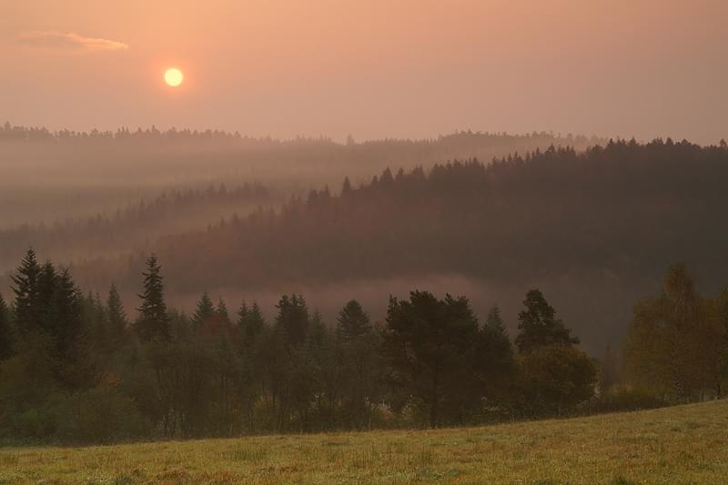 Dołączona grafika