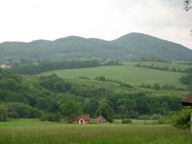 Obrazek