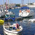 Cypr,Pafos-port #Cypr #Pafos #port #KutryRybackie #MorzeŚródziemne