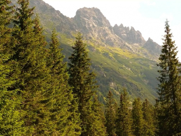 W drodze nad Morskie Oko