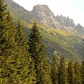 W drodze nad Morskie Oko