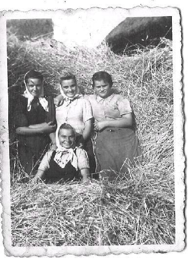 Rok 1949, podczas żniw. Moja babcia
Janina Dymek z przyjaciółkami : Haliną
Czapską i Bogumiłą Dyra (niestety, jedna pani
nierozpoznana...) #Grębków #Kózki #WiekXIX #WiekXX