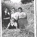 Rok 1949, podczas żniw. Moja babcia
Janina Dymek z przyjaciółkami : Haliną
Czapską i Bogumiłą Dyra (niestety, jedna pani
nierozpoznana...) #Grębków #Kózki #WiekXIX #WiekXX