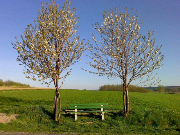 ławeczka na bezludziu #natura