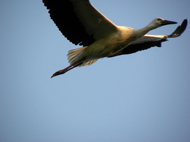 Podlasie 2011