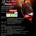 plakat III rzeszowskie targi wina, 3 Rzeszowskie Targi wina, www.winnica-dolinasanu.pl #WinnicaDolinaSanu #IIIRzeszowskieTargiWina
