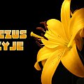 tapety-jezus.prv.pl - najlepsze darmowe tapety chrześcijańskie na komórkę i pulpit :) #jezus #Bóg #tapety