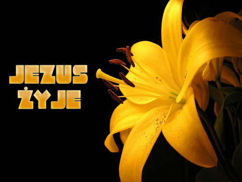 tapety-jezus.prv.pl - najlepsze darmowe tapety chrześcijańskie na komórkę i pulpit :) #jezus #Bóg #tapety