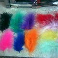 fly tying