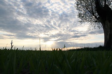 #Bralin #chmury #ZachódSłońca #drzewo