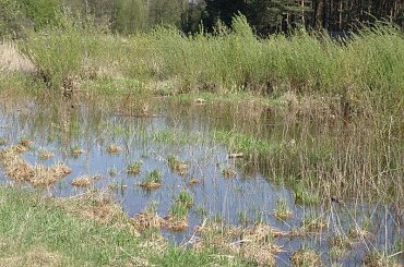 PZK zdjęcia wiosenne #krajobraz #mazowsze #warka #pilica