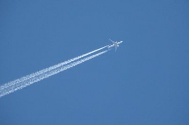 PZK samolot #łąka #pzk #trawa #chwast #leci #samolotem