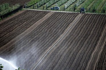 PZK - Zjazd #Zjazd #czersk #pzk #qso #zamek #wieża #cegła