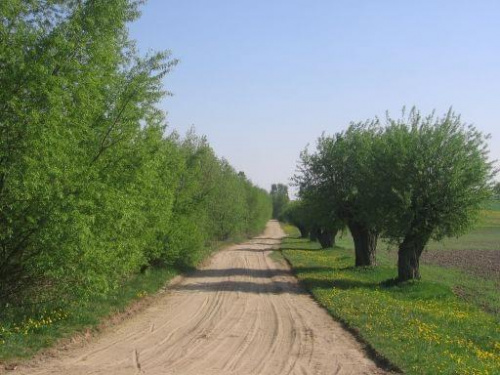 Rowerowe Podlasie. Majówka 2009 #Podlasie