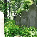 Kraków cmentarz żydowski Nowy ul. Miodowa