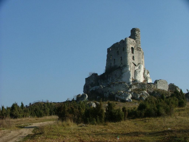 Jura Krakowsko-Częstochowska