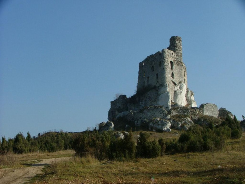 Jura Krakowsko-Częstochowska