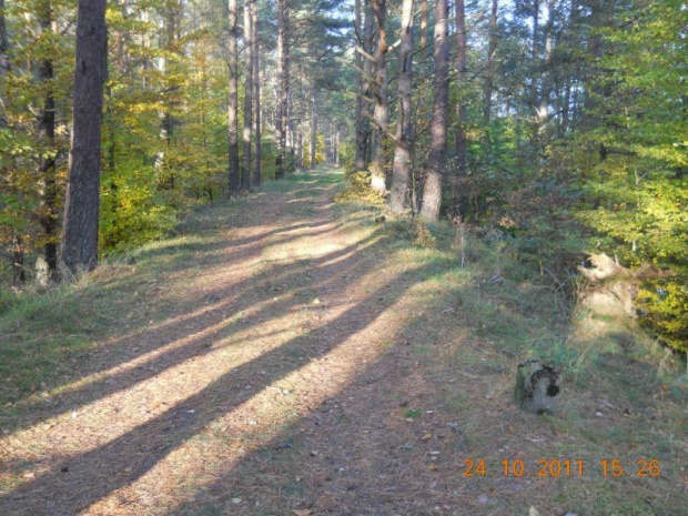 Widok na nasyp .