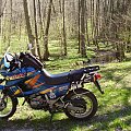kwiecień 2009 r - wypad w okolice Dębnicy Kaszubskiej