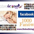 DobreSciagi.pl 1000 Fanów na Facebooku #facebook #ściągi