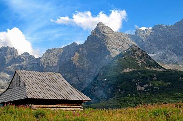G Ó R Y. #góry #tatry #zakopane #widoki #widoczki #krajobraz #natura #park #parki #tapety #pejzaż