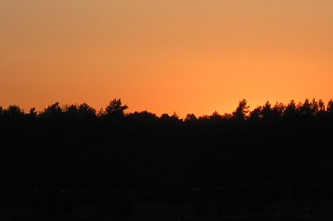 #Zachód #Słońce #Drzewa