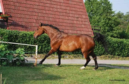 2009.05.21 Trening w Stodołach