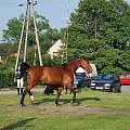 2009.05.21 Trening w Stodołach