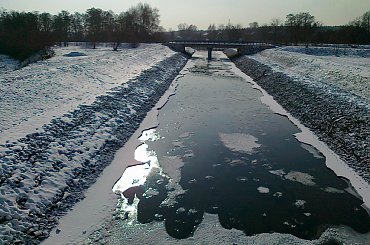 Dąbrowa Górnicza Pogoria III/IV #przyroda #DąbrowaGórnicza