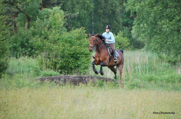 2009.06.03 Stodoły, nowa trasa