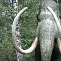Mamut, jak żywy #mamut #DinoPark #zwierzęta #Hannover
