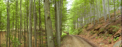 Beskid Śląski