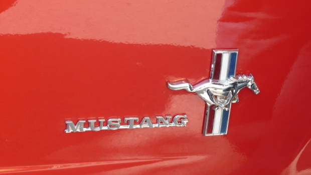 Sam na sam z pięknem #Ford #Mustang