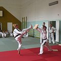 wtf, taekwondo