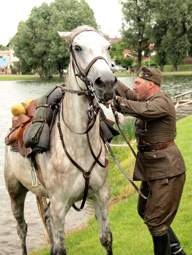 IX Piknik Kawaleryjski w Suwałkach #konie #PiknikKawaleryjski #Suwałki #kawaleria