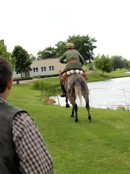 IX Piknik Kawaleryjski w Suwałkach #konie #PiknikKawaleryjski #Suwałki #kawaleria