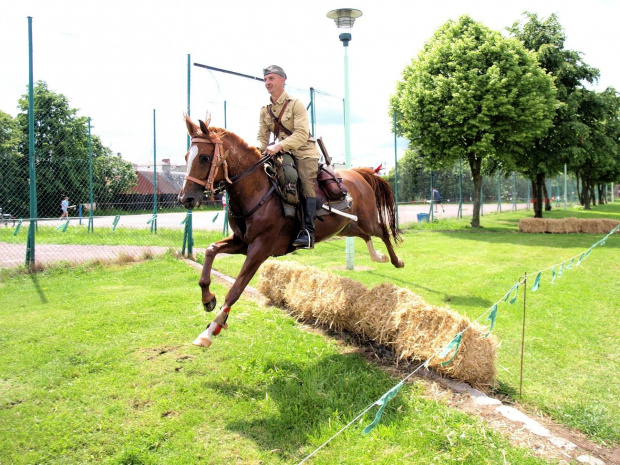 IX Piknik Kawaleryjski w Suwałkach #konie #PiknikKawaleryjski #Suwałki #kawaleria