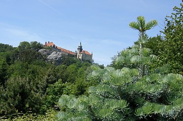 Widok z daleka na renesansowy zamek Hruba Skala #CzeskiRaj #Czechy #HrubaSkala #zamek #hruboskalsko