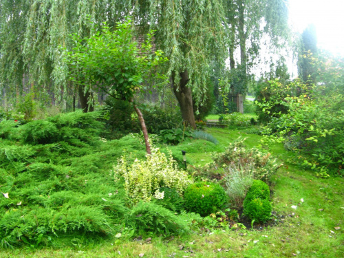 Ogród 2012-08-24