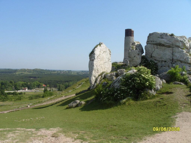 Zdjęcie konkursowe