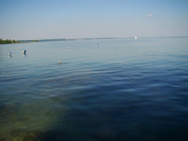 Balaton