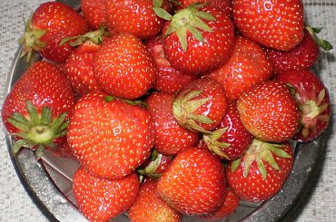 Truskawki.
Przepisy do zdjęć zawartych w albumie można odszukać na forum GarKulinar .
Tu jest link
http://garkulinar.jun.pl/index.php
Zapraszam. #owoce #truskawki #jedzenie #kulinaria #PrzepisyKulinarne