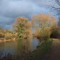 Nad rzeka Lea #Anglia #rzeka #Lea #widoki