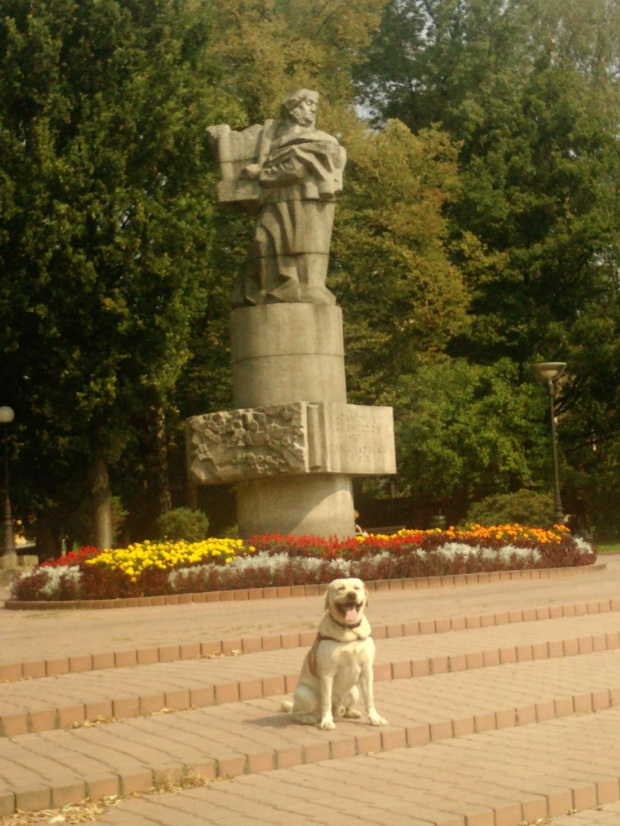 Pomnik Adama Mickiewicza Nowy Sącz #galeria #Homer #Labrador #pies #zdjęcia