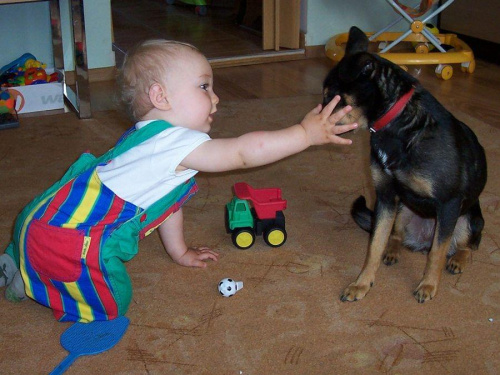 uwielbiają się bawić razem #dziecko #niemowle #pies