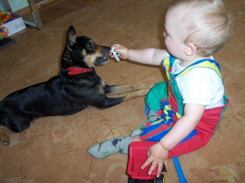 zabaw nie ma końca #dziecko #niemowle #pies