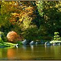 jesien w Ogrodzie Botanicznym #jesien #OgrodBotaniczny #Wrocław